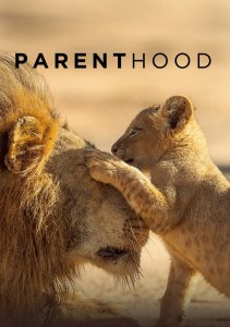 Аниме онлайн